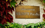 Delamotte sign